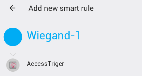 accesstriger.png